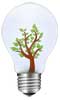 GREEN IDEA